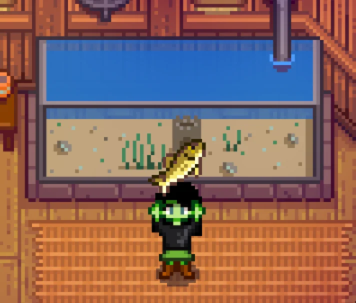 Fish vault in Community center stardew valley