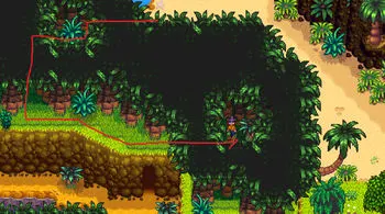 Hidden passage for walnut plant near volcano Stardew Valley
