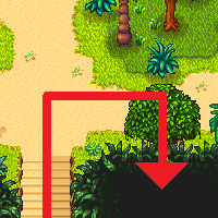 South walnut hidden passage Stardew Valley
