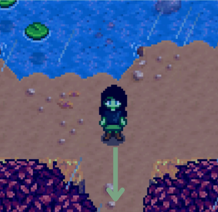 Step 2 Cindersnap Forest Stardew Valley