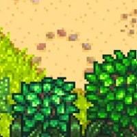 Walnut buried in Stone Circle Stardew Valley