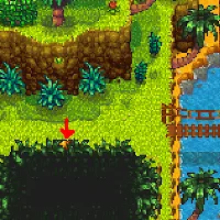 Walnut west of Parrot Express Bridge Stardew Valley