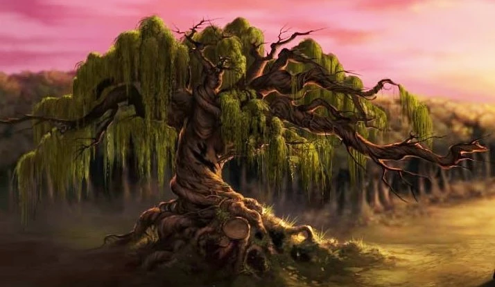 Whopming Willow Tree in Harry Potter