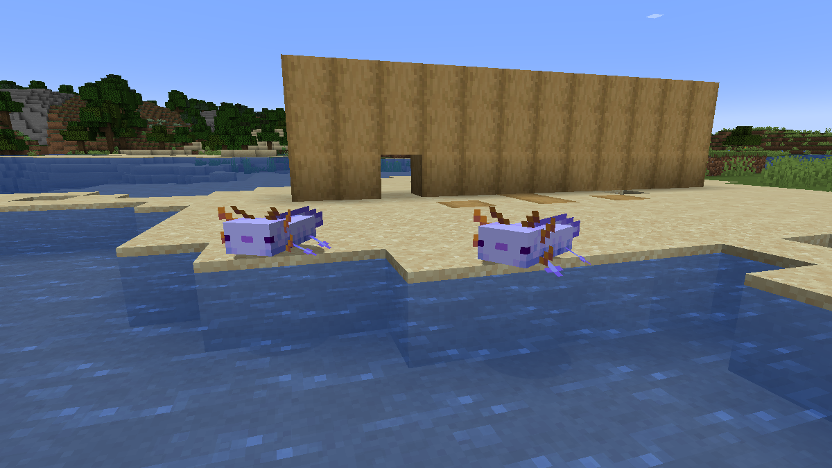 How to Get Blue Axolotls in Minecraft 1.20