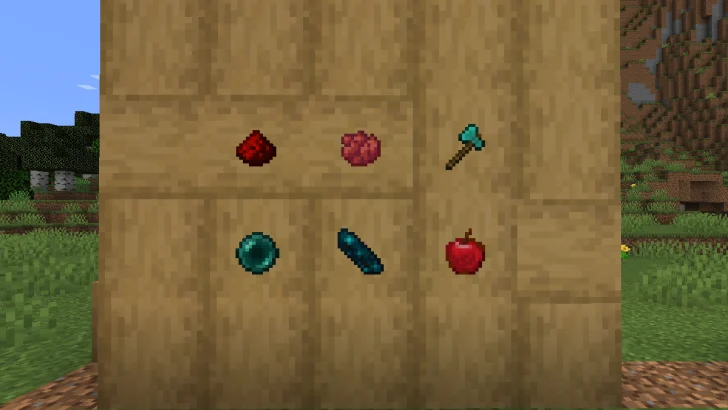 Various items displayed on a wall using Invisible Item Frames